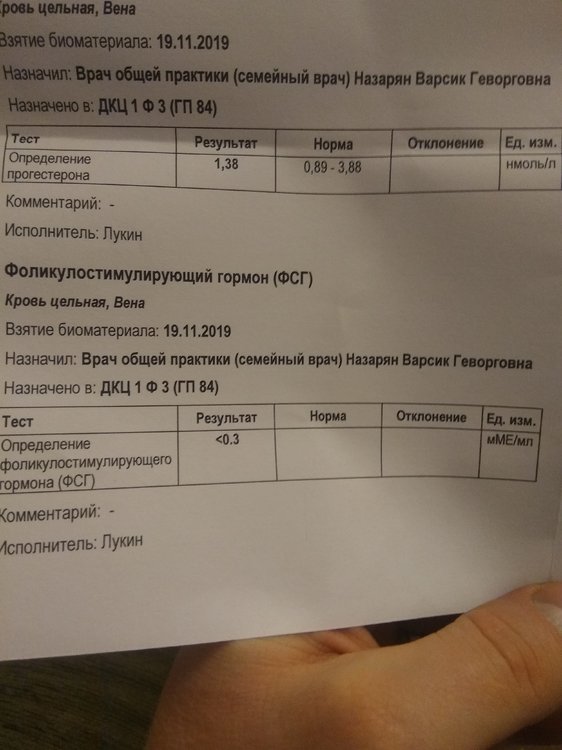 1575311135826142230119.jpg